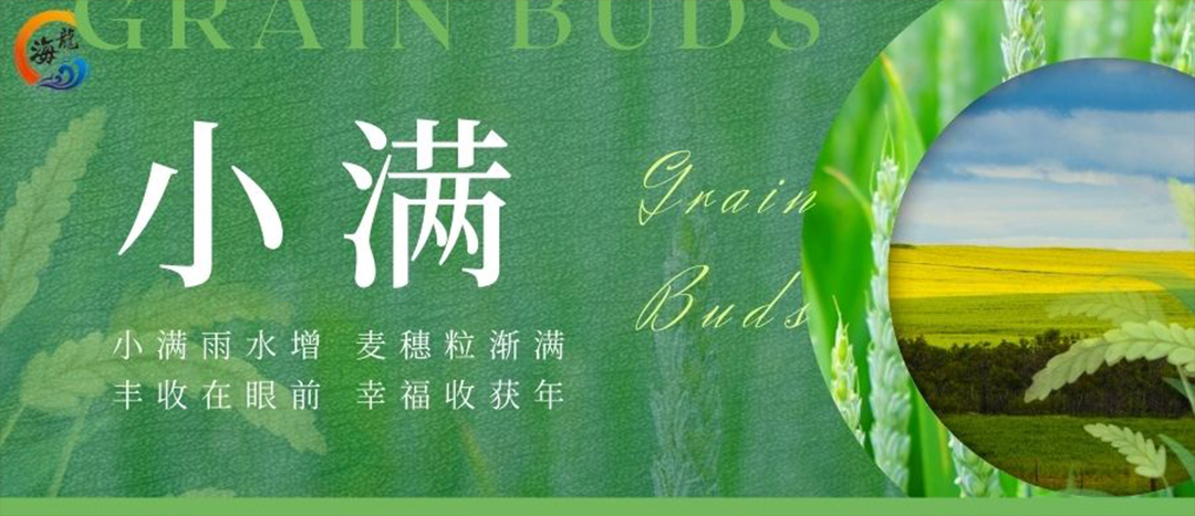 小滿